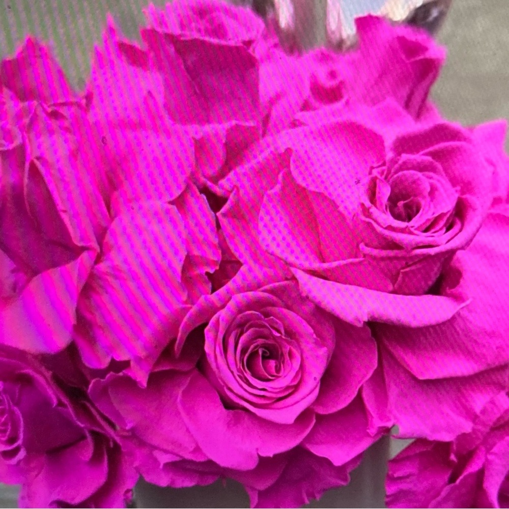 Vibrant Hot Pink Rose Bouquet